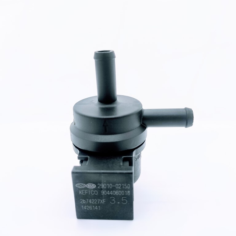 valvula_de_purga_kia