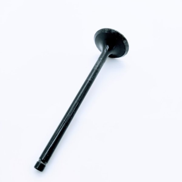 VALVULA DE ESCAPE PARA HYUNDAI I10 INCLUYE 4 UNIDADES - Imagen 2