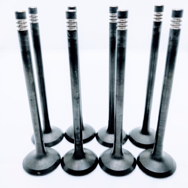 VALVULA DE ESCAPE PARA KIA REVOLUTION - Imagen 2