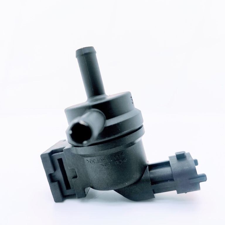 VALVULA DE PURGA PARA KIA PICANTO ION - Imagen 3